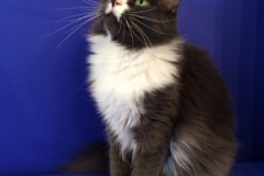 November2015 Amy204