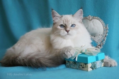 Ladushka 001